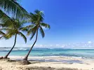 56d0aed758d9a8773c109e95_guadeloupe-le-moule-beach-cr-getty.webp