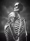 Skeleton2904.webp