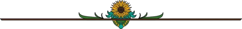 Sunflower-Divider.webp