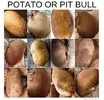 pitpotato.webp