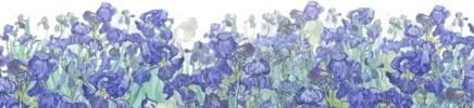 copy2 Download premium png of Irises flower png border, Van Gogh-inspired painting on transpa...webp