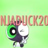 NinjaDuck2014